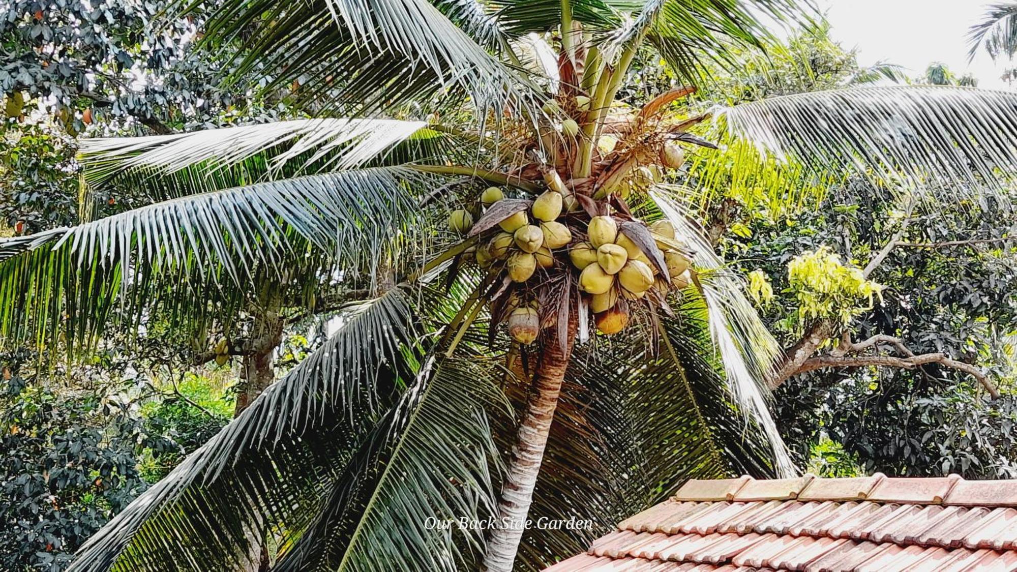 Bed & Breakfast Le Meridien Negombo